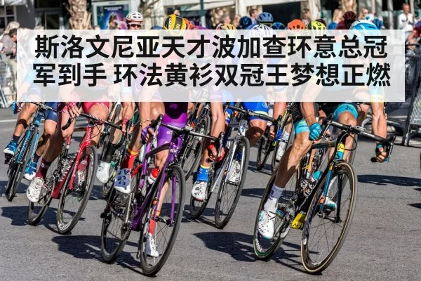 斯洛文尼亚天才波加查环意总冠军到手 环法黄衫双冠王梦想正燃 - YABO SPORTS