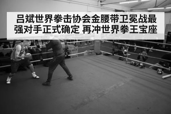 boxer training gym