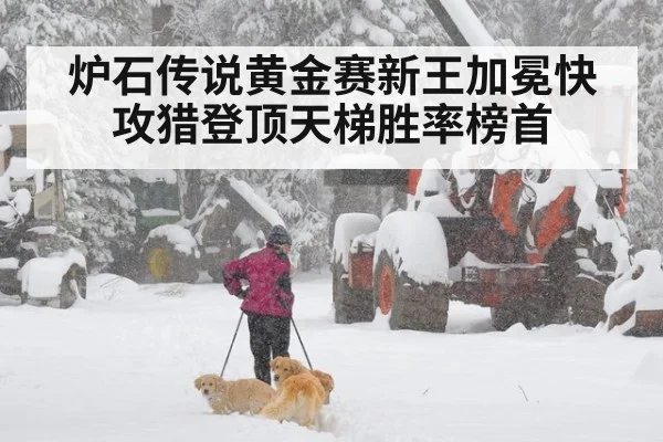 炉石传说黄金赛新王加冕快攻猎登顶天梯胜率榜首