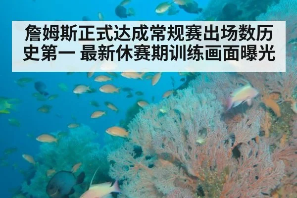 詹姆斯正式达成常规赛出场数历史第一 最新休赛期训练画面曝光